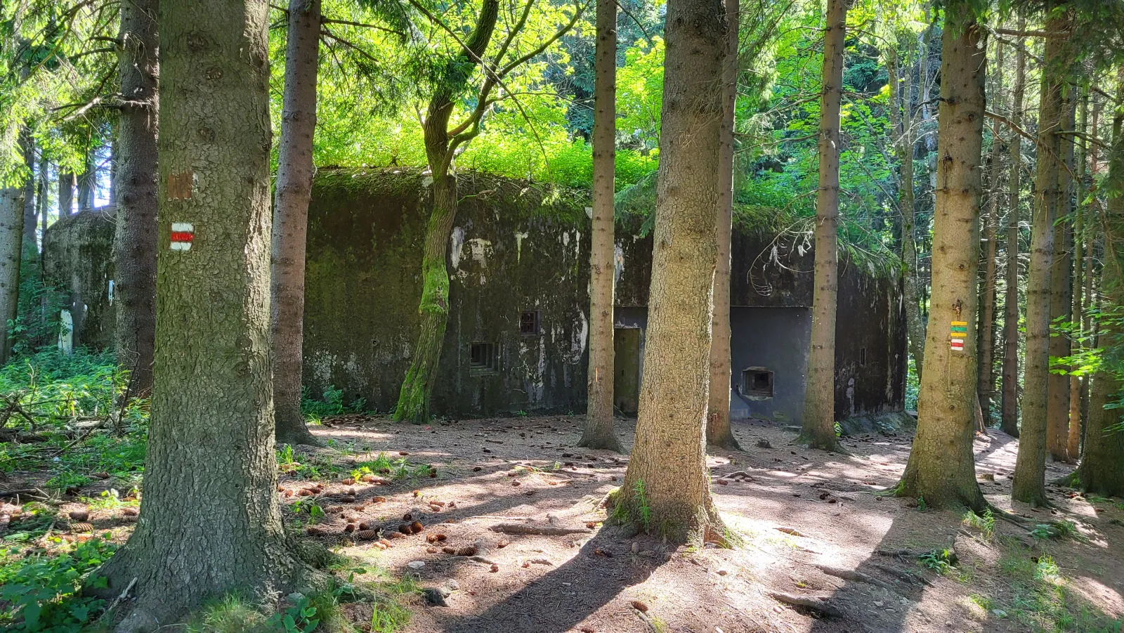 Krkonošským podhůřím kolem vojenských bunkrů